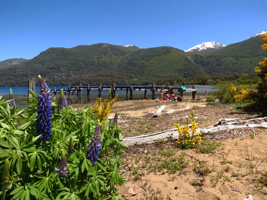 San Martín de los Andes por 7 Lagos - Key Points to Know Before You Go