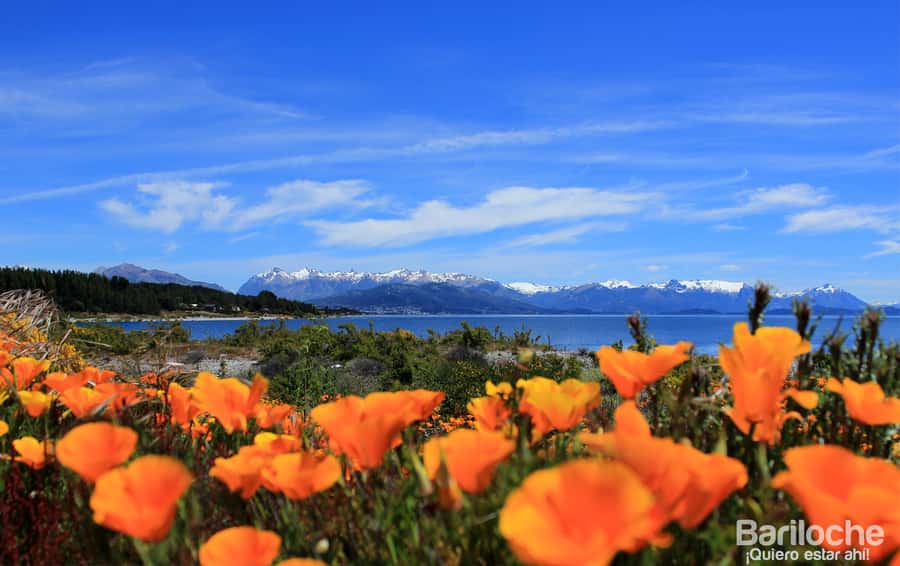 San Martín de los Andes por 7 Lagos - Is $65 a Fair Price?
