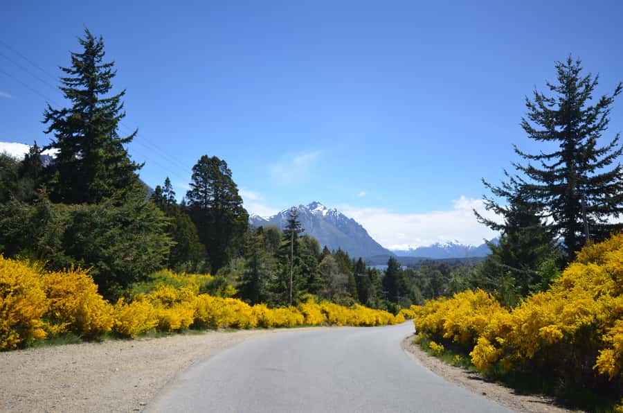 San Martín de los Andes por 7 Lagos - Villa La Angostura: A Mountain Town With Character