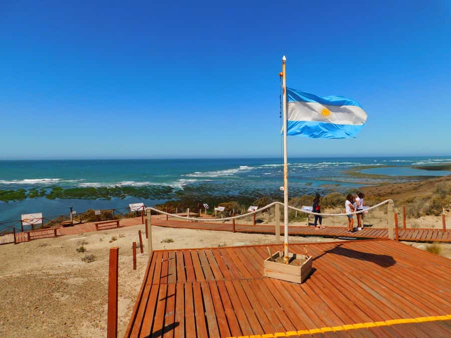 Shore Tours Peninsula Valdes Puerto Madryn Cruise Passengers - Key points to know before booking