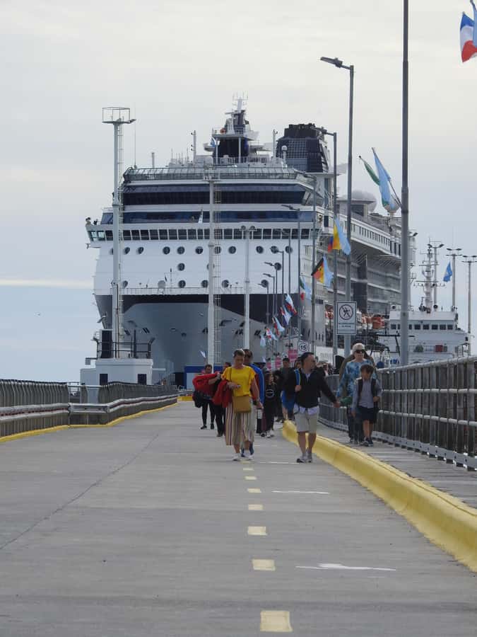 Shore Tours Peninsula Valdes Puerto Madryn Cruise Passengers - Why Peninsula Valdés is worth a full day