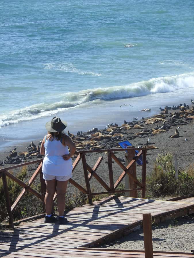 Shore Tours Peninsula Valdes Puerto Madryn Cruise Passengers - The first hour: leaving Puerto Madryn for El Desempeño