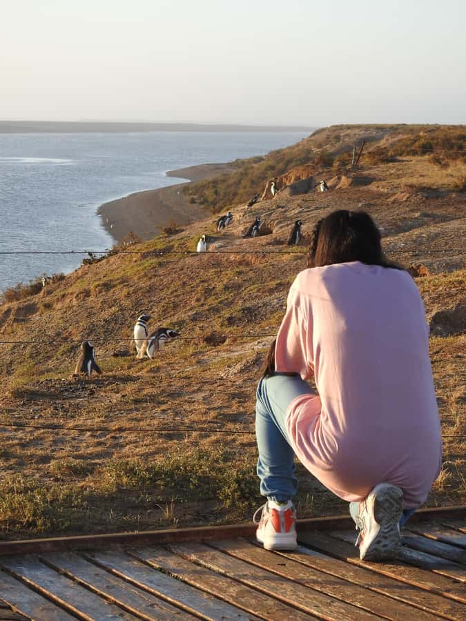 Shore Tours Peninsula Valdes Puerto Madryn Cruise Passengers - Puerto Pirámides: a final stop with a different feel