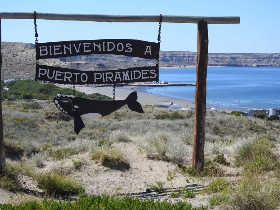 Shore Tours Peninsula Valdes Puerto Madryn Cruise Passengers - Meeting your guide at the cruise pier