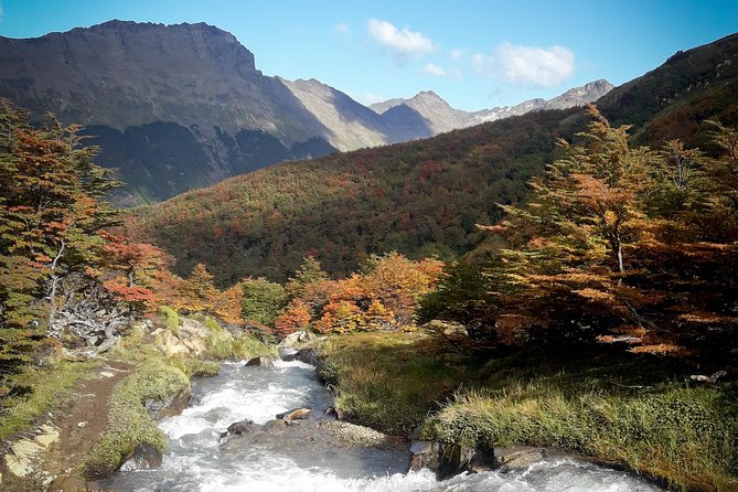 Small group Trekking to Vinciguerra Glacier and Témpanos Lagoon - Cerro Alarken and the approach to Andorra Valley