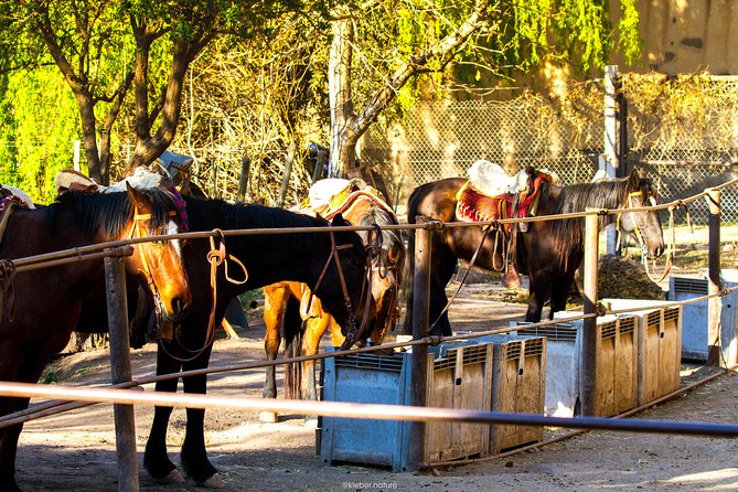 Sunset Horseback Riding - From Mendoza City to the ranch in Lunlunta