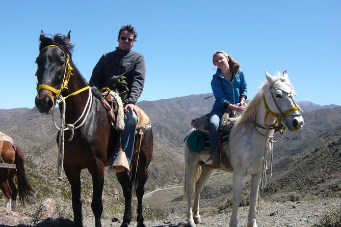 Sunset Horseback Riding - Meeting your horse and learning the basics