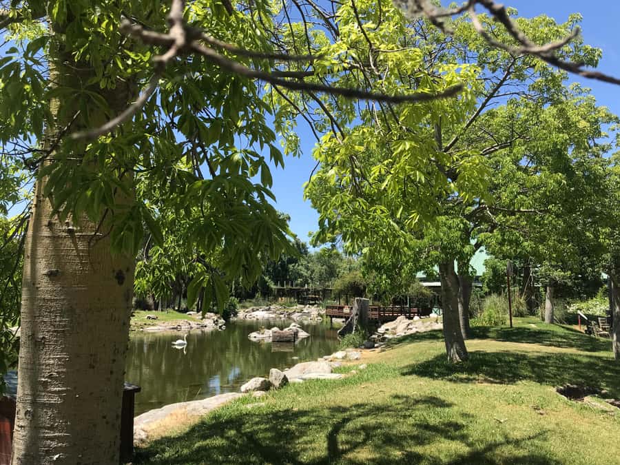 Temaiken Biopark Entry Tickets - African Animals and Three Special Islands