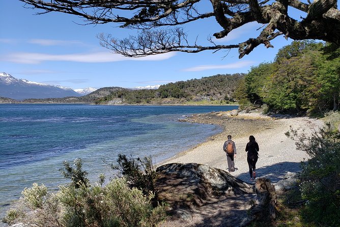 Tierra del Fuego National Park Private Tour - What the $350 price really buys you