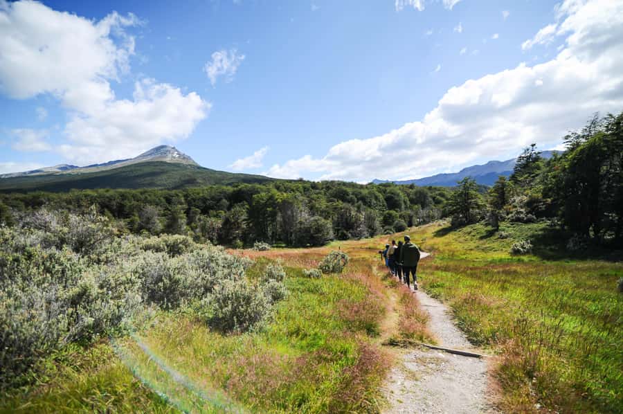 Tierra del Fuego National Park: Small Group Tour with Lunch - FAQ