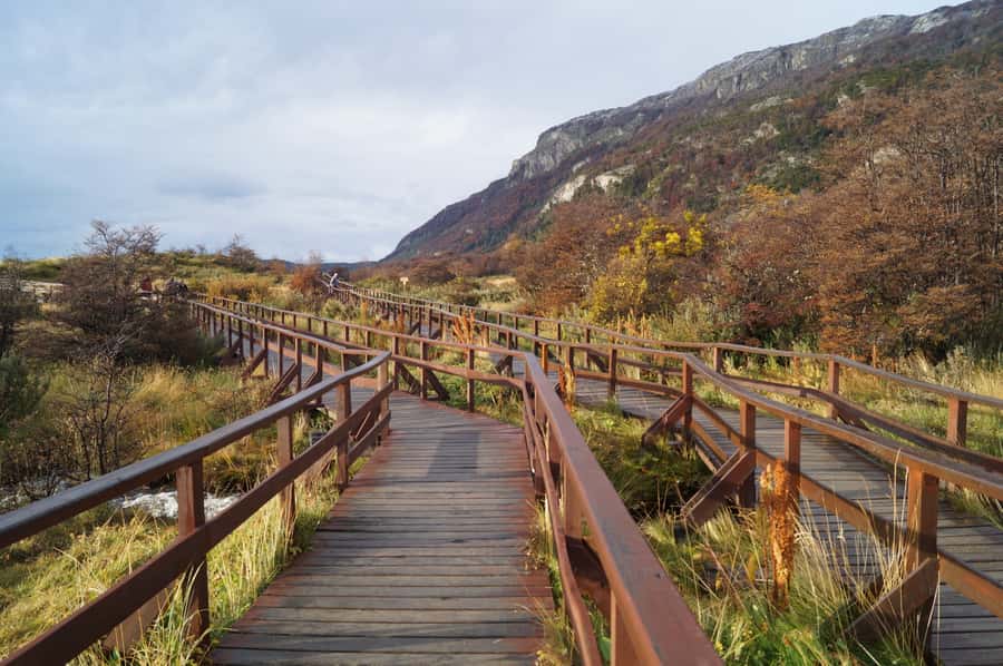 Tierra del Fuego National Park: Small Group Tour with Lunch - The schedule, from hotel pickup to return