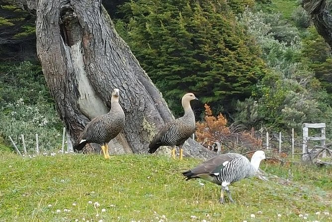 Tierra Del Fuego National Park Tour - From Ushuaia to Lake Roca