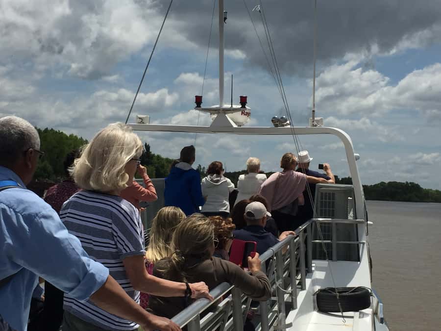Tigre Delta: Half-Day Tour and Boat Trip - The 40-minute catamaran ride through Tigre Delta
