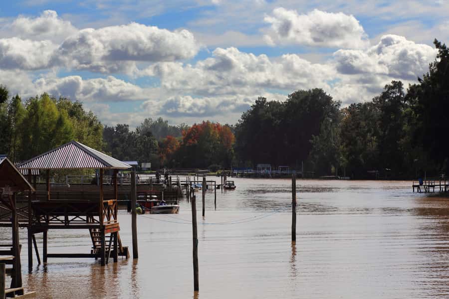 Tigre: River Delta Panoramic Boat Tour - Key things to know before boarding