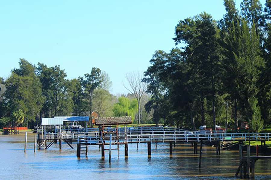 Tigre: River Delta Panoramic Boat Tour - Is $18 good value for an hour?