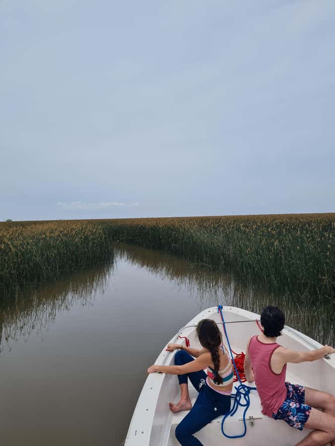 Tigre: Safari Náutico en Tigre/ Biosphere Reserve Boat Tour - Why Tigre’s Delta makes a good day trip