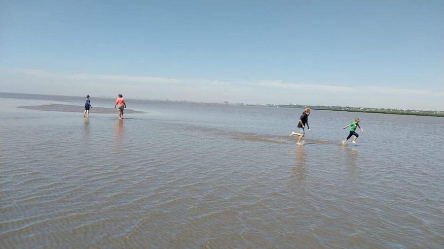 Tigre: Safari Náutico en Tigre/ Biosphere Reserve Boat Tour - The wetland observatory and the Delta’s plant life