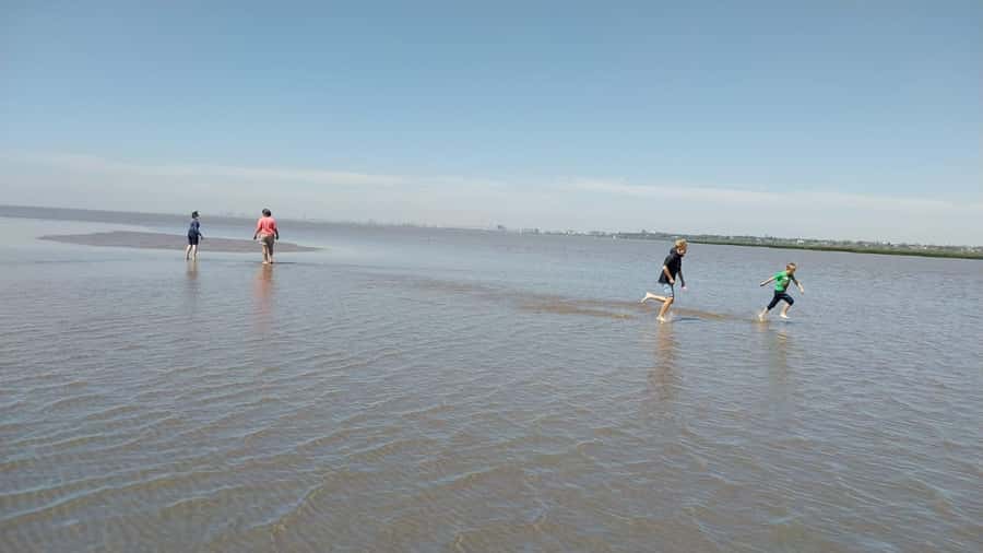 Tigre: Safari Náutico en Tigre/ Biosphere Reserve Boat Tour - Delta Terra and the slower side of the river