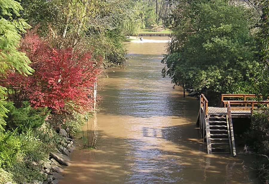 Tigre with Lunch overlooking the River and Navigation - A three-course lunch beside the Luján River