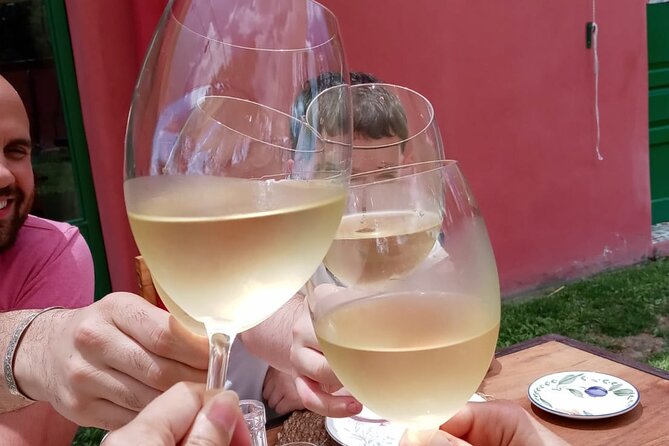 Top Rated: Winery Tour with Lunch in Mendoza - Lunch among the vineyards at Coquimbito