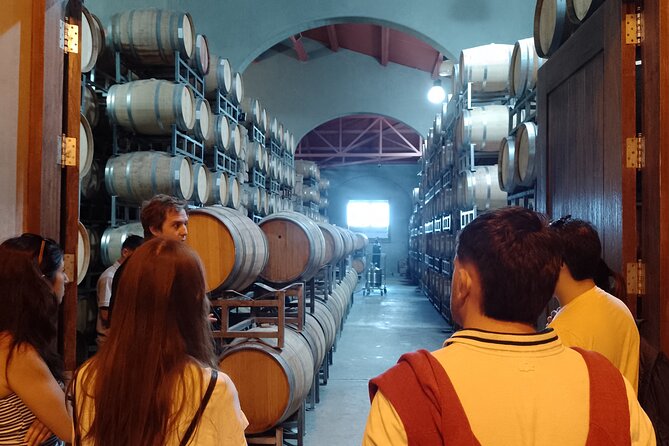 Top Rated: Winery Tour with Lunch in Mendoza - The olive oil stop adds more than another tasting