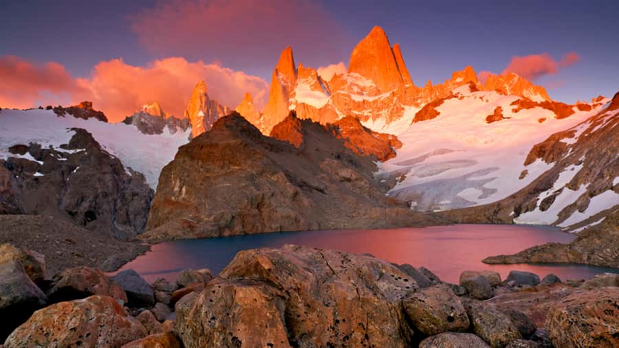 Torres del Paine Day Trip from El Calafate - Lake Nordenskjold, Laguna de los Cisnes, and Laguna Amarga