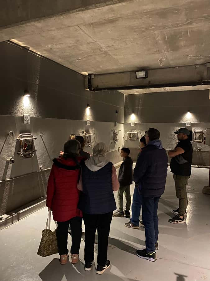 Tour of 3 wineries in Maipú with lunch + olive groves - Key details to know before you go