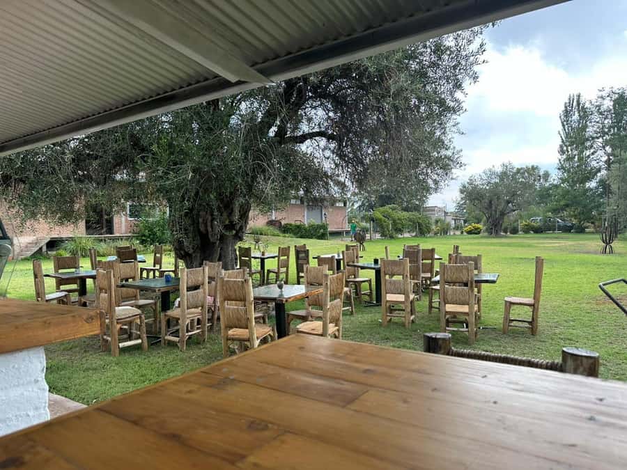 Tour of 3 wineries in Maipú with lunch + olive groves - What the $120 price really covers