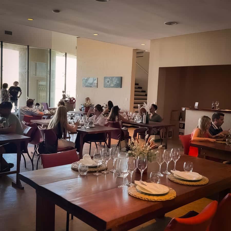 Tour of 3 wineries in Maipú with lunch + olive groves - Vehicle comfort and the shared-tour tradeoff