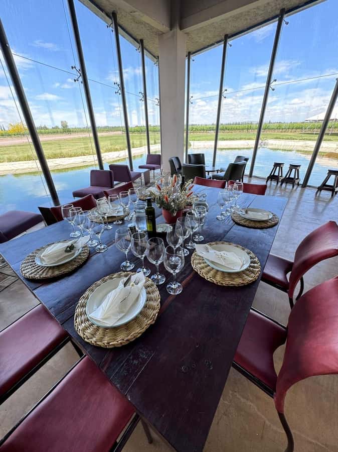 Tour of 3 wineries in Maipú with lunch + olive groves - Practical comfort notes at the wineries