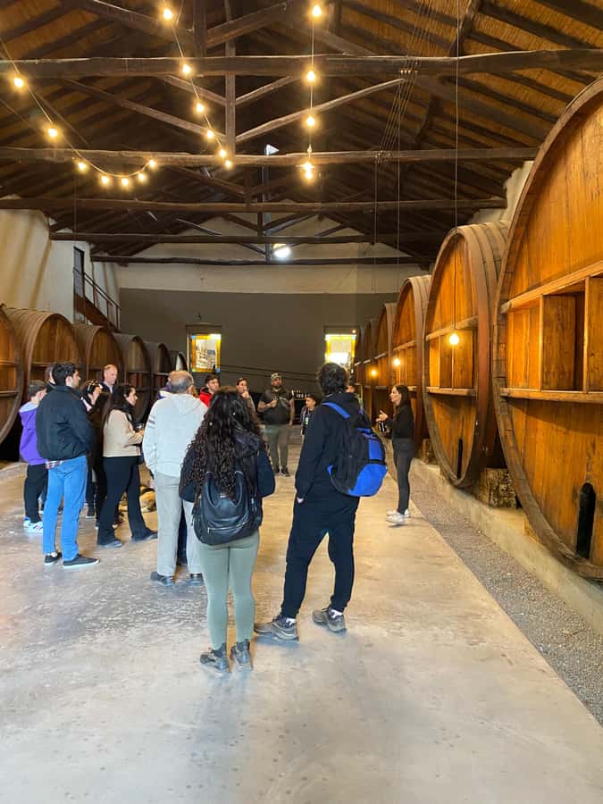 Tour of 3 wineries in Maipú with lunch + olive groves - Booking advice and cancellation flexibility