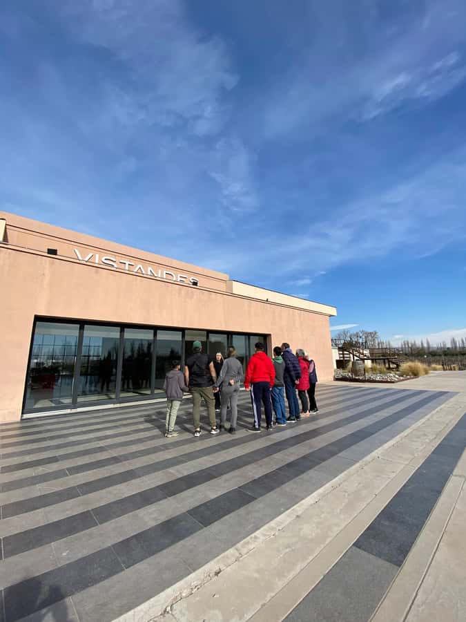 Tour of 3 wineries in Maipú with lunch + olive groves - Getting out of Mendoza and into the vineyards