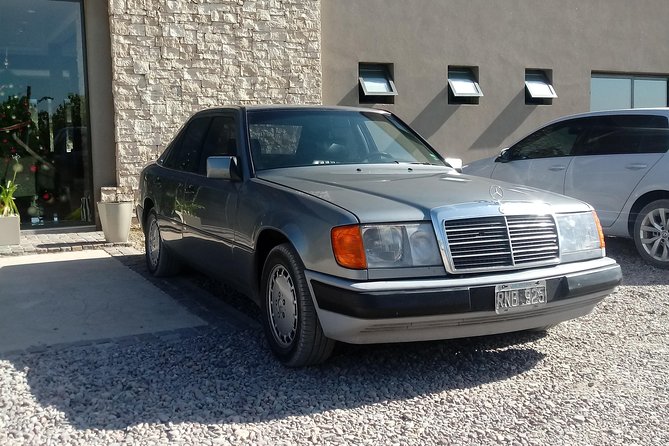 Transportation around Mendoza or others states!!! Trips.. transfers - Why a private driver helps in Mendoza