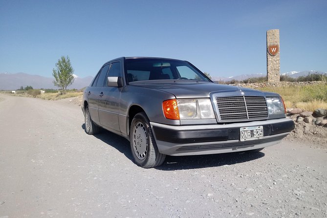 Transportation around Mendoza or others states!!! Trips.. transfers - Building a winery day in Luján de Cuyo