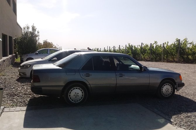 Transportation around Mendoza or others states!!! Trips.. transfers - Meeting Francisco in central Mendoza