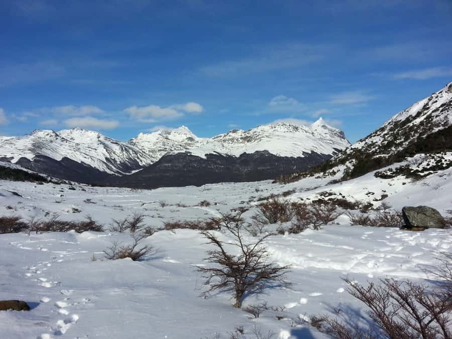 Trekking Esmeralda Lagoon - Entering the lenga forest