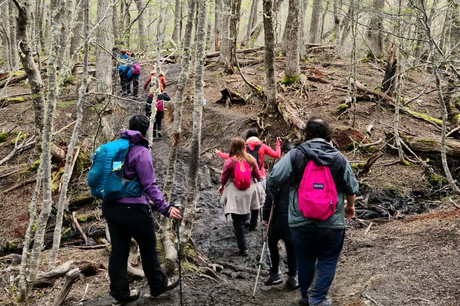 Trekking to Emerald Lagoon - Forest, river, and the approach to Emerald Lagoon