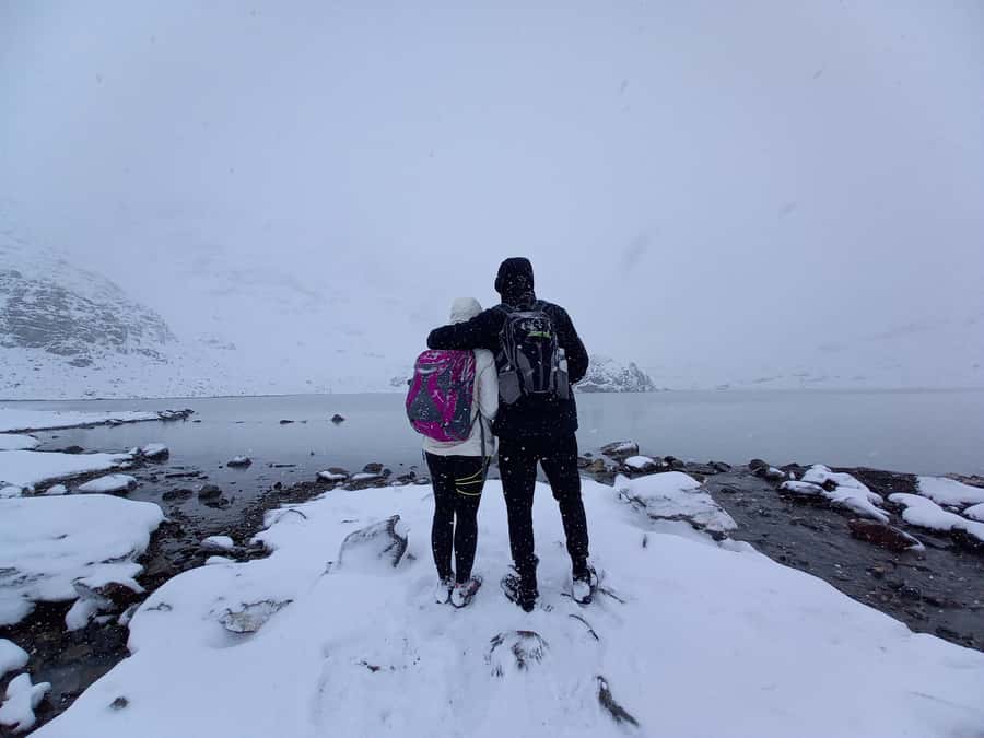 Trekking to Vinciguerra glacier and Tempanos lagoon - Reaching Vinciguerra Glacier above the trees