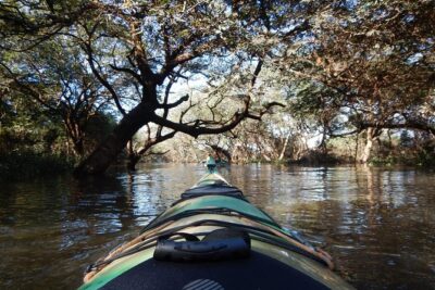 TRU KAYAK – Cruise along the majestic Uruguay River