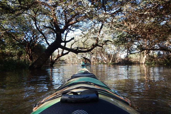 TRU KAYAK - Cruise along the majestic Uruguay River - Learning the basics before leaving shore