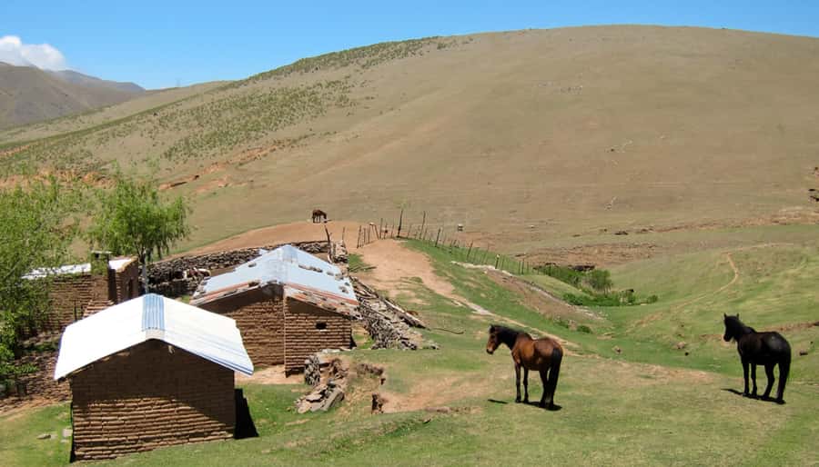 Tucumán: Tafí del Valle Full Day Tour - Leaving Tucumán for the Mountain Road