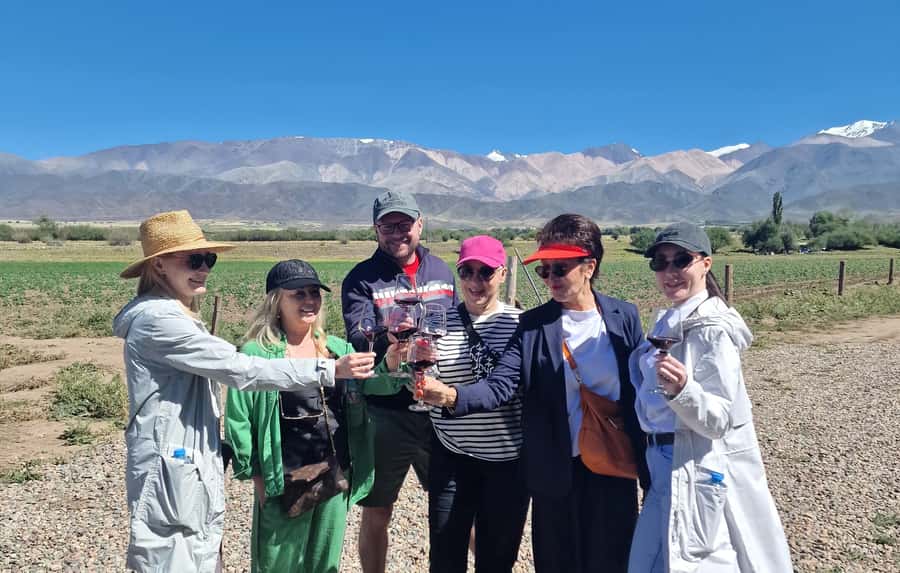 Uco Valley, Mendoza: One-Day Private Wine Tour Experience - Key reasons this tour is worth considering