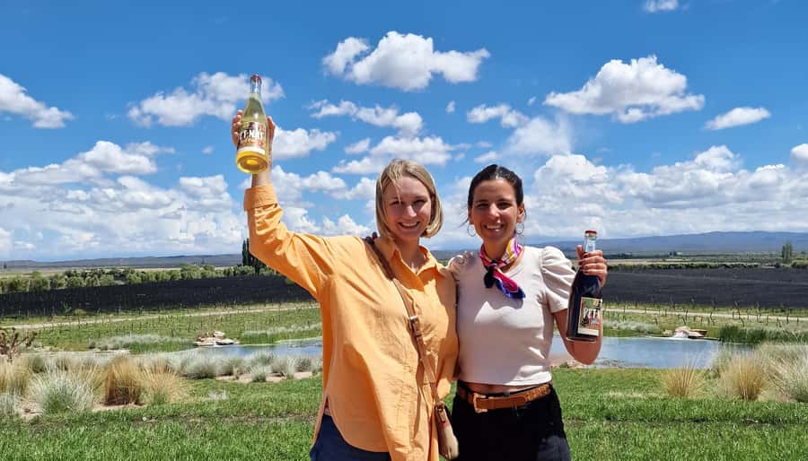 Uco Valley, Mendoza: One-Day Private Wine Tour Experience - Should you book this Uco Valley wine tour?