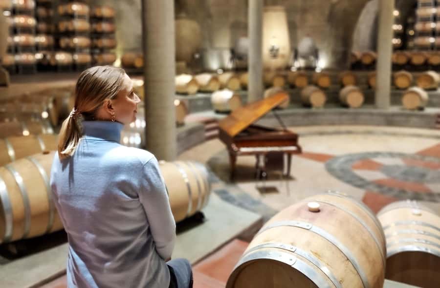 Uco Valley, Mendoza: One-Day Private Wine Tour Experience - A major winery and a serious Argentine lunch