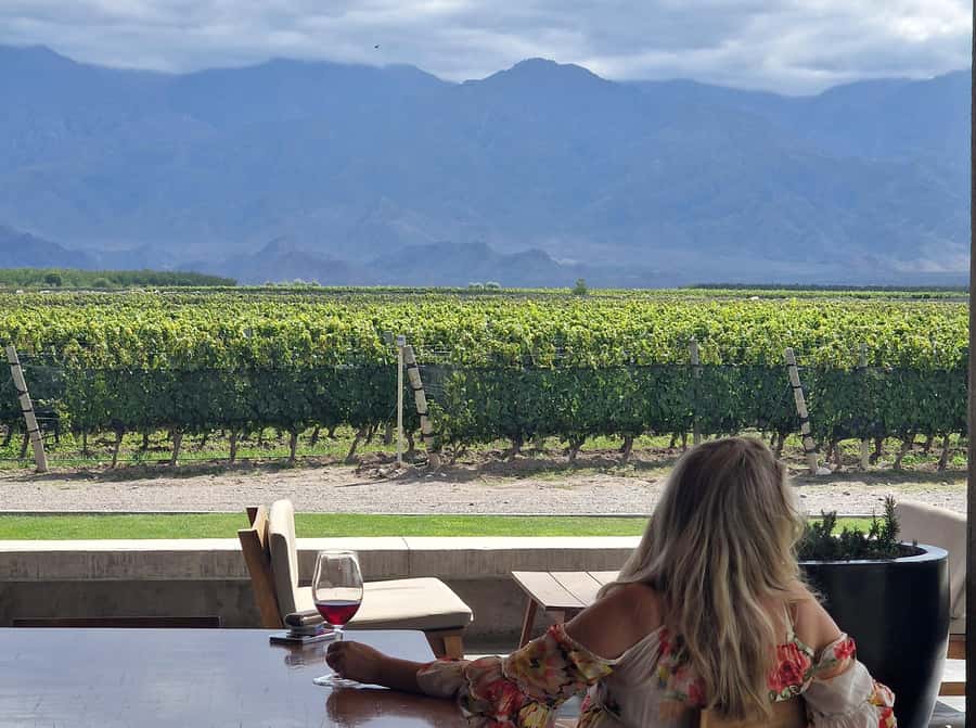 Uco Valley, Mendoza: One-Day Private Wine Tour Experience - Who should book this day in the valley
