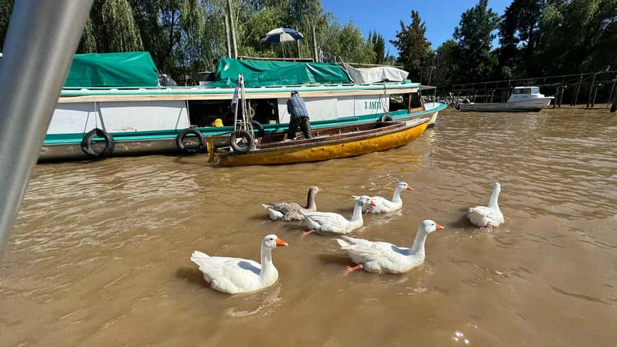 Unique Tigre and Delta Private Day Cruise Navegation - Key points at a glance