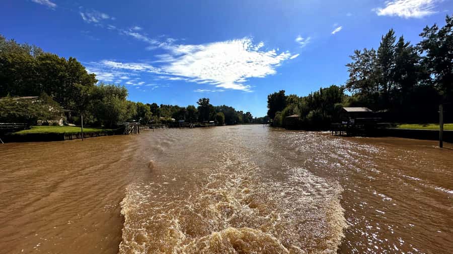 Unique Tigre and Delta Private Day Cruise Navegation - The 1.5-hour cruise through the Paraná Delta