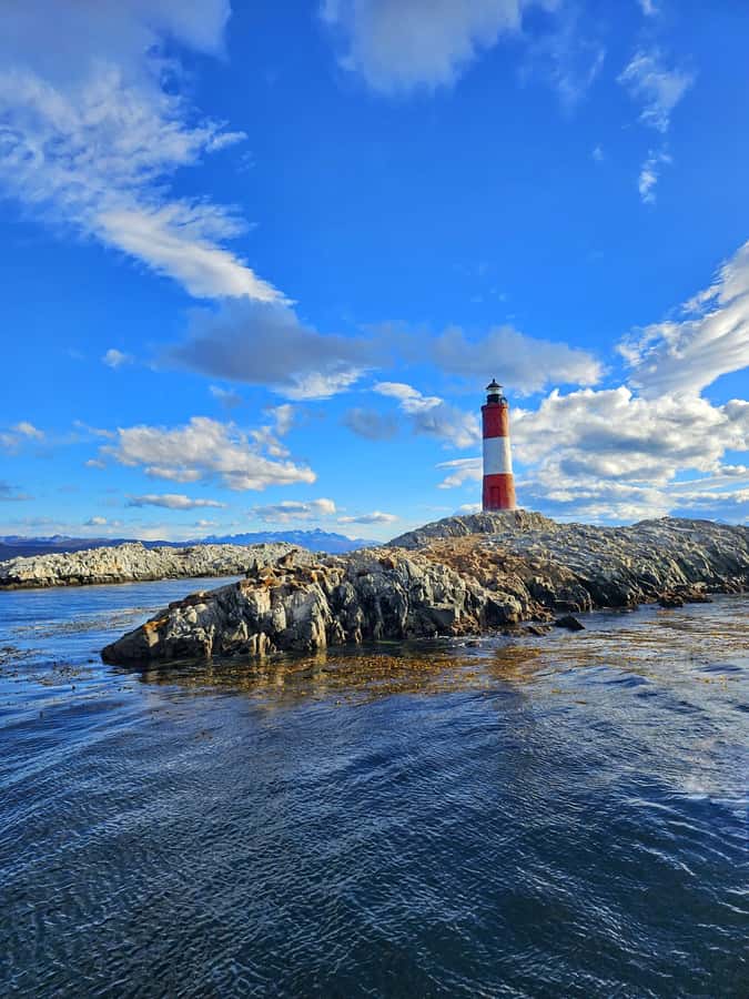 Ushuaia: Beagle Channel and Penguin Island - Why this Beagle Channel cruise is worth your time