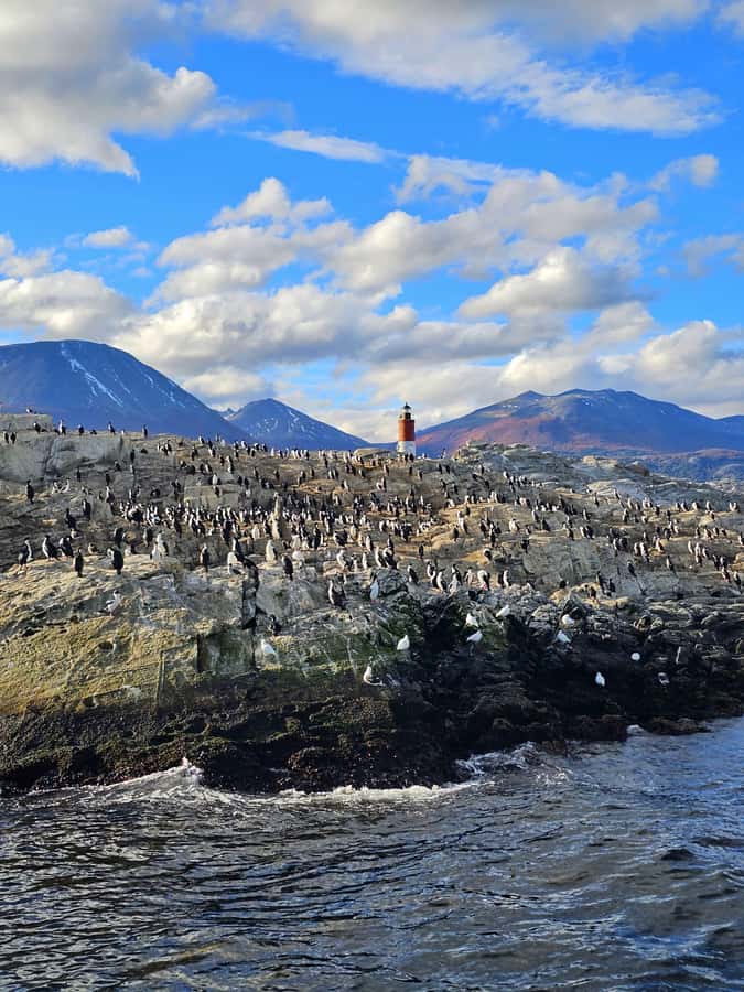 Ushuaia: Beagle Channel and Penguin Island - Sailing out of Ushuaia Bay