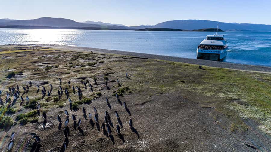 Ushuaia: Beagle Channel and Penguin Island - What the $178 price really buys you